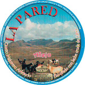 Queso añejo elaborado con leche cruda de cabra con Denominación de Origen Majorero La Pared